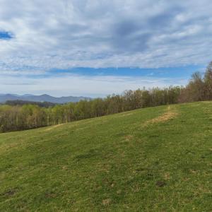Photo #12 of TBD OLD B AND O RD, RAPHINE, VA 67.6 acres