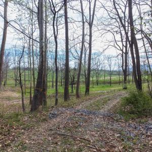 Photo #20 of TBD OLD B AND O RD, RAPHINE, VA 67.6 acres
