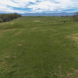 Photo #14 of TBD OLD B AND O RD, RAPHINE, VA 67.6 acres