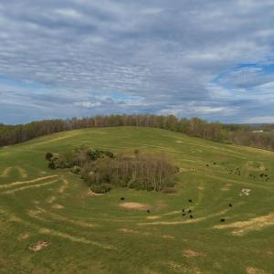 Photo #3 of TBD OLD B AND O RD, RAPHINE, VA 67.6 acres