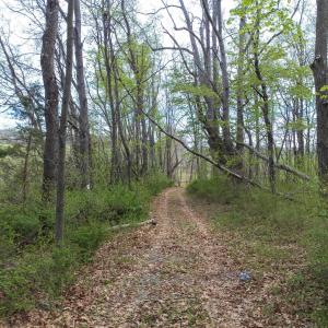 Photo #22 of TBD OLD B AND O RD, RAPHINE, VA 67.6 acres