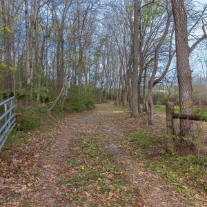 Photo #23 of TBD OLD B AND O RD, RAPHINE, VA 67.6 acres
