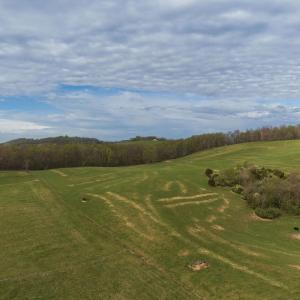 Photo #5 of TBD OLD B AND O RD, RAPHINE, VA 67.6 acres