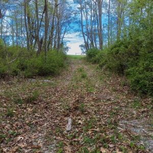 Photo #21 of TBD OLD B AND O RD, RAPHINE, VA 67.6 acres