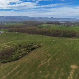 Photo #1 of TBD OLD B AND O RD, RAPHINE, VA 67.6 acres