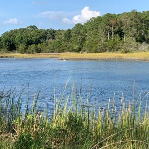 Photo #10 of Lot 1&2 HACKSNECK RD, HACKSNECK, VA 3.9 acres