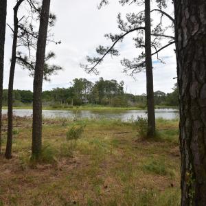 Waterfront Property