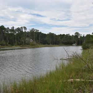 Photo #4 of Lot 1&2 HACKSNECK RD, HACKSNECK, VA 3.9 acres