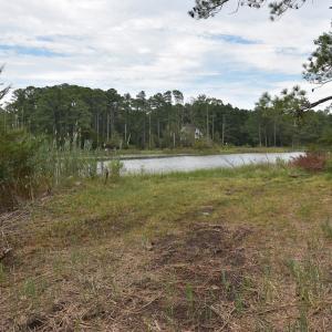 Photo #5 of Lot 1&2 HACKSNECK RD, HACKSNECK, VA 3.9 acres