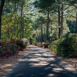 Photo #10 of 110 CREEKSIDE LN, CAPE CHARLES, VA 0.7 acres