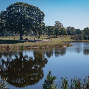 Photo #15 of 110 CREEKSIDE LN, CAPE CHARLES, VA 0.7 acres