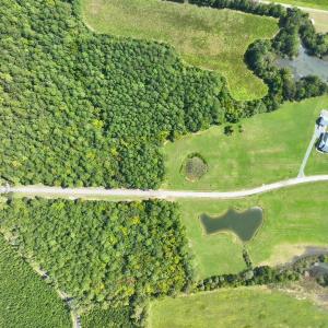 Photo #2 of Lot 1 PORT SCARBURGH LANE, ONANCOCK, VA 8.1 acres