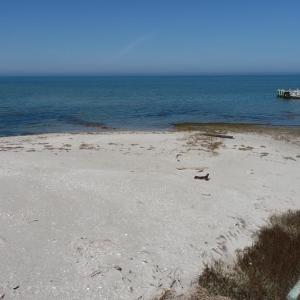 Photo #5 of Lot 3 PEACEFUL LAKES DR, EXMORE, VA 1.5 acres