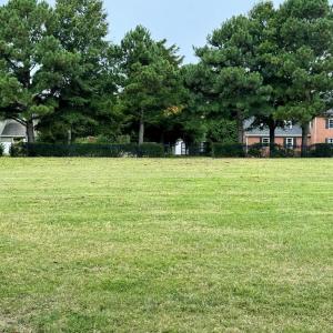 Front of the Lot