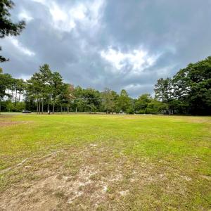 Photo #9 of 3.04 AC LANKFORD HWY, ACCOMAC, VA 3.0 acres