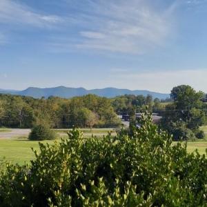 Photo #23 of tbd STERRETT RD, FAIRFIELD, VA 1.6 acres