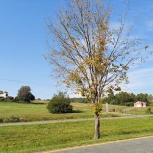 Photo #29 of tbd STERRETT RD, FAIRFIELD, VA 1.6 acres