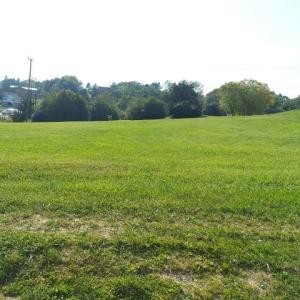 Photo #30 of tbd STERRETT RD, FAIRFIELD, VA 1.6 acres