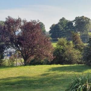 Photo #4 of tbd STERRETT RD, FAIRFIELD, VA 1.6 acres