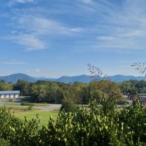 Photo #34 of tbd STERRETT RD, FAIRFIELD, VA 1.6 acres