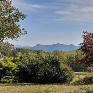 Photo #5 of tbd STERRETT RD, FAIRFIELD, VA 1.6 acres