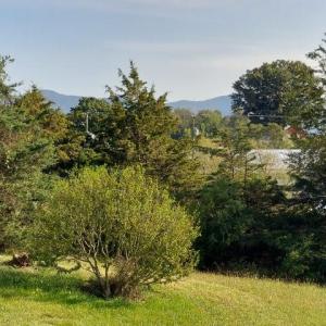 Photo #41 of tbd STERRETT RD, FAIRFIELD, VA 1.6 acres