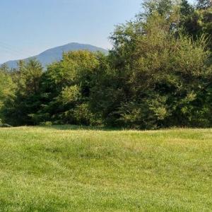Photo #48 of tbd STERRETT RD, FAIRFIELD, VA 1.6 acres