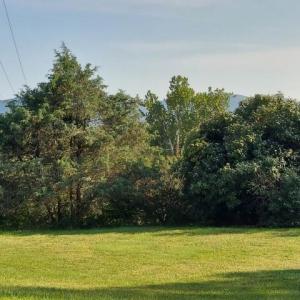 Photo #49 of tbd STERRETT RD, FAIRFIELD, VA 1.6 acres