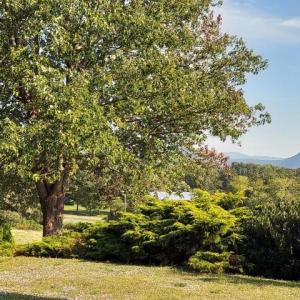 Photo #6 of tbd STERRETT RD, FAIRFIELD, VA 1.6 acres