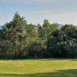 Photo #7 of tbd STERRETT RD, FAIRFIELD, VA 1.6 acres