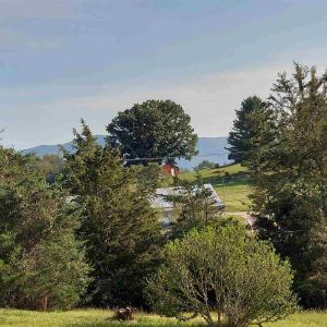Photo #8 of tbd STERRETT RD, FAIRFIELD, VA 1.6 acres