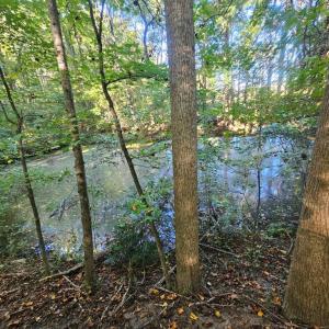 Photo #12 of B1C&B1E SAVAGEVILLE RD, ONANCOCK, VA 26.2 acres
