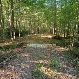 Photo #4 of B1C&B1E SAVAGEVILLE RD, ONANCOCK, VA 26.2 acres
