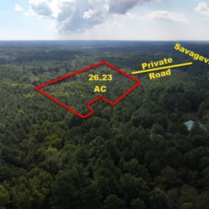 Photo #6 of B1C&B1E SAVAGEVILLE RD, ONANCOCK, VA 26.2 acres