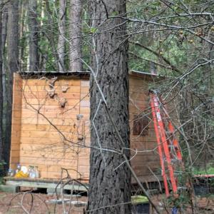 Photo #7 of B1C&B1E SAVAGEVILLE RD, ONANCOCK, VA 26.2 acres