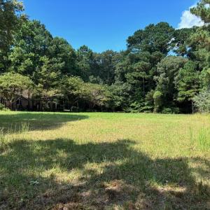 Photo #11 of Lot A-4 WHITE TAIL LANE, MACHIPONGO, VA 3.8 acres