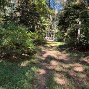 Photo #12 of Lot A-4 WHITE TAIL LANE, MACHIPONGO, VA 3.8 acres