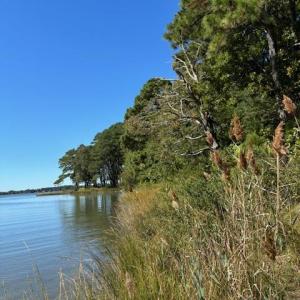 Photo #14 of Lot A-4 WHITE TAIL LANE, MACHIPONGO, VA 3.8 acres