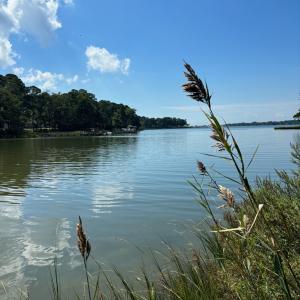 Photo #3 of Lot A-4 WHITE TAIL LANE, MACHIPONGO, VA 3.8 acres