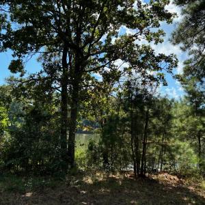 Photo #5 of Lot A-4 WHITE TAIL LANE, MACHIPONGO, VA 3.8 acres