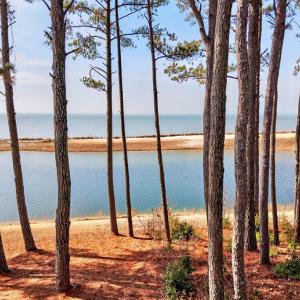 Photo #2 of 135 ABERDEEN WAY, CAPE CHARLES, VA 0.3 acres