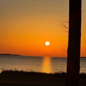 Photo #5 of 135 ABERDEEN WAY, CAPE CHARLES, VA 0.3 acres