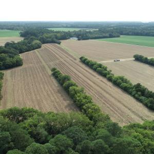 Photo #12 of OCCOHANNOCK NECK RD, BELLE HAVEN, VA 114.9 acres