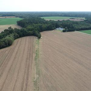 Photo #13 of OCCOHANNOCK NECK RD, BELLE HAVEN, VA 114.9 acres