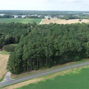 Photo #18 of OCCOHANNOCK NECK RD, BELLE HAVEN, VA 114.9 acres