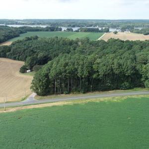 Photo #19 of OCCOHANNOCK NECK RD, BELLE HAVEN, VA 114.9 acres