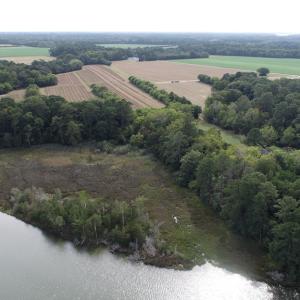 Photo #2 of OCCOHANNOCK NECK RD, BELLE HAVEN, VA 114.9 acres
