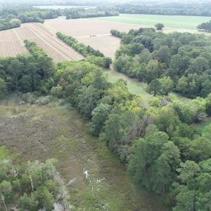 Photo #28 of OCCOHANNOCK NECK RD, BELLE HAVEN, VA 114.9 acres