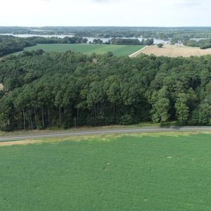Photo #20 of OCCOHANNOCK NECK RD, BELLE HAVEN, VA 114.9 acres