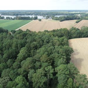 Photo #21 of OCCOHANNOCK NECK RD, BELLE HAVEN, VA 114.9 acres